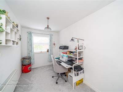 Picture 20